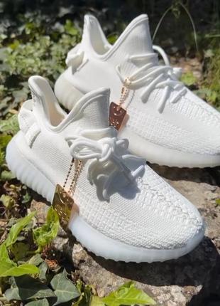 Кросівки унісекс yeezy.5 фото