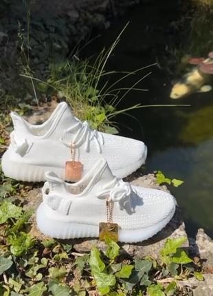 Кросівки унісекс yeezy.6 фото