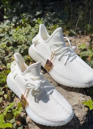 Кросівки унісекс yeezy.4 фото