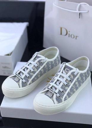 Кроссовки кеды dior серо-белые