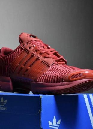 Кросівки adidas climacool