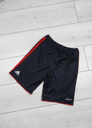 Спортивные шорты adidas liverpool  для мальчика4 фото