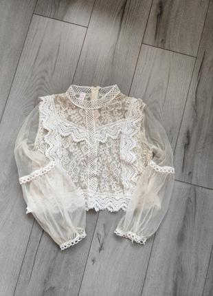 Блуза топ