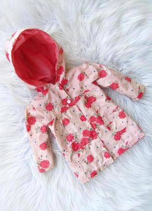 Ветровка куртка  парка с капюшоном toutcomptefait