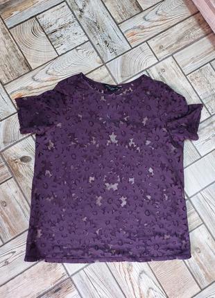 Кружевная футболка блуза dorothy perkins, s,m(38)3 фото