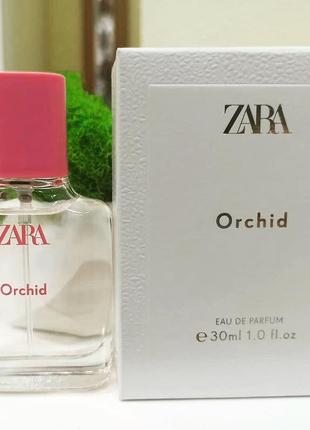 Zara orchid