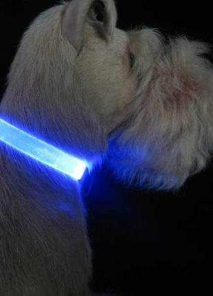 Яркий светящийся ошейник для собак и котов. xs—xl(18-58м.) цвет—голубой.2 фото