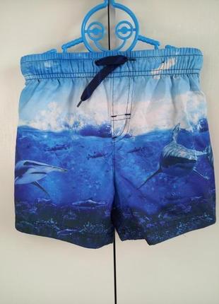 Пляжные шорты из плащевки с акулой george для мальчика 4-5 лет ростом 104-110