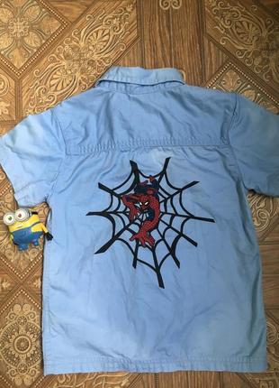 ❗️❗️топ цена ❗️❗️рубашечка h&m