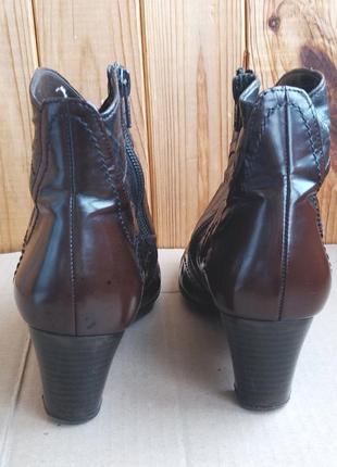 Кожаные ботильоны  ботинки удобные туфли ботинки короткие gabor4 фото