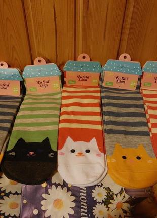 Набор носков из 5 пар