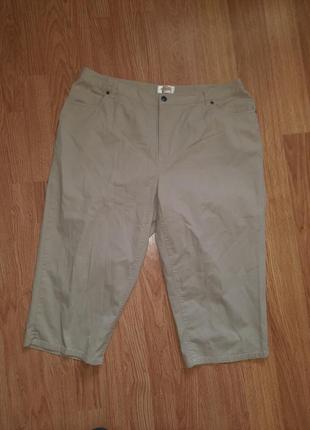 Бриджи, размер 54-56 (арт1230гш)