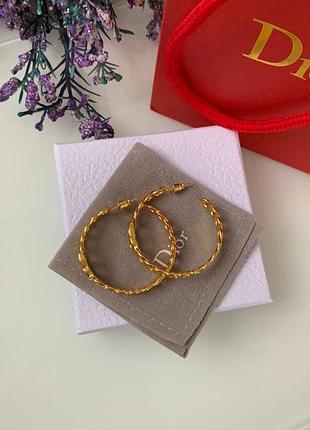 Брендові сережки 2