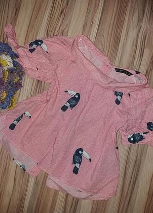 Блуза zara