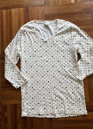 Реглан лонгслив новый хлопковый cotton traders 36 Парксов 🇬🇧