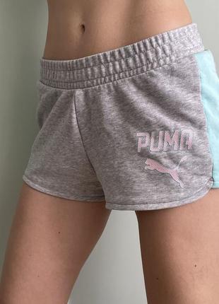 Шорти puma