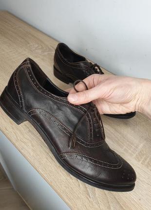 Натуральні шкіряні базові оксфорди броги туфлі на шнурівці натуральна шкіра брогі king