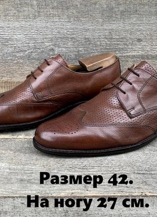 Pavers р 42 шкіряні броги чоловічі коричневі туфлі оксфорди шкіра