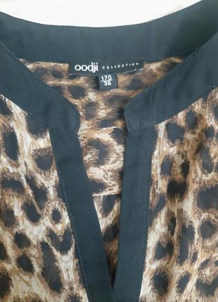 Блуза oodji collection8 фото