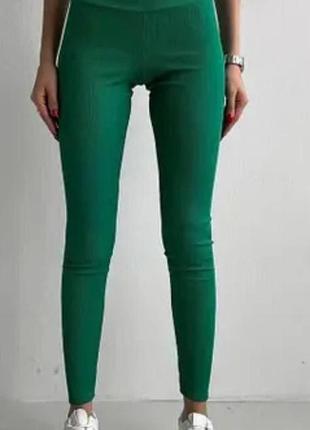 Женские спортивные удобные красивые классные красивые простые трендовые модные повседневные брюки лосины зеленые малина