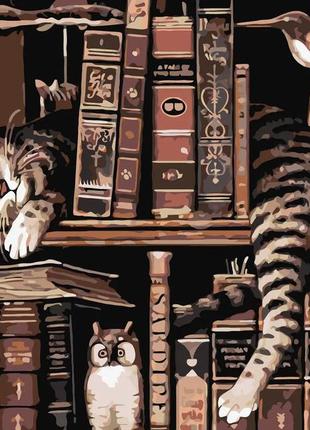 Картина за номерами кіт з пташками в книгарні lw 30300