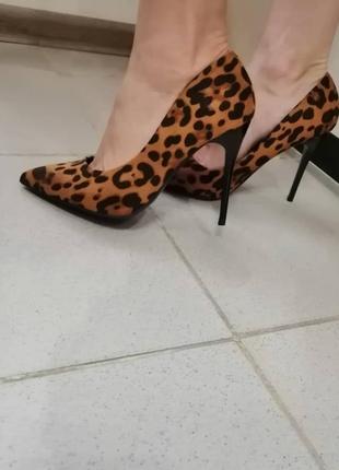 Неймовірні туфлі