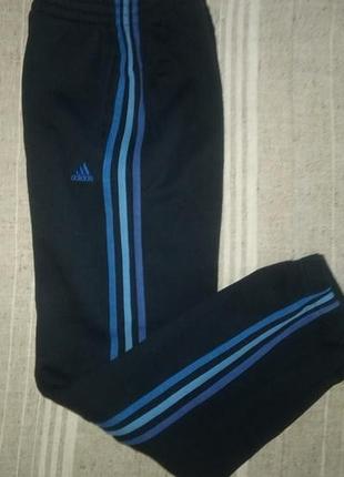 Штани adidas