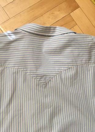 Сорочка рубашка у блакитну смужку бавовна котон від levis пог 61 см2 фото