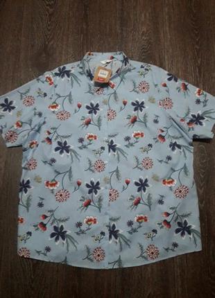 Брендовая новая хлопковая красивая блузка рубашка в цветах р.24/52 от cotton traders3 фото