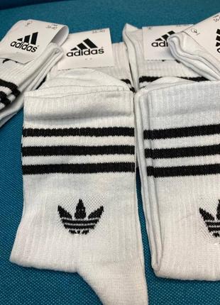 Шкарпетки чоловічі-жіночі adidas