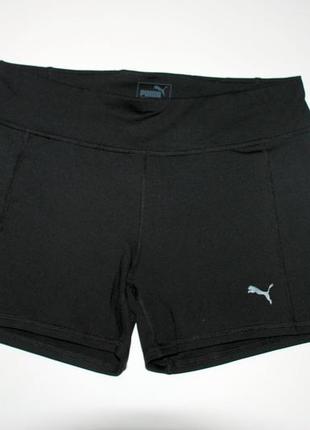 Xl / uk 16/ наш 50 спортивные  шорты puma с технологией dry3 фото