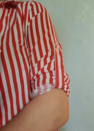 Сукня сорочка котон3 фото