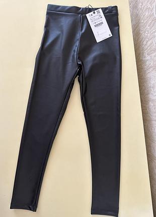 Логины zara