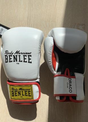 Benlee rocky marciano draco 12 oz