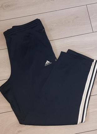 Спортивные штаны adidas