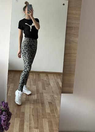 Лосины sport krivit