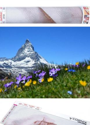 Набор алмазной мозаики (вышивки) cornix art 40 x 30 см ay61