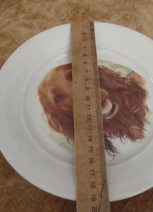 Красивая тарелка собака пес фарфор бавария германия №д(11)4 фото