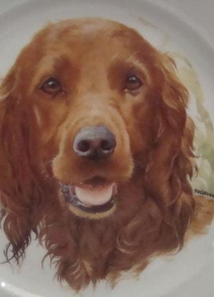 Красивая тарелка собака пес фарфор бавария германия №д(11)5 фото