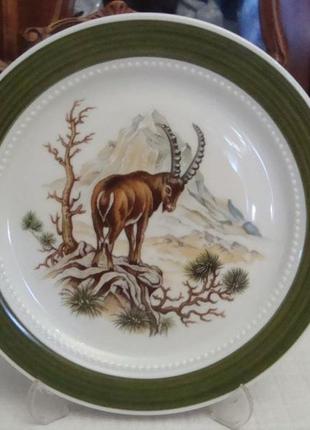 Красивая тарелка горный козел фарфор германия №д117 фото