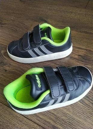 Кроссовки adidas 242 фото