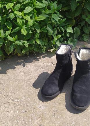 Зимние фврмовые сапожки. натуральный замш. очень теплые