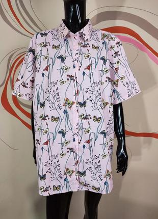 Бавовняна коттонова блуза сорочка батал3 фото