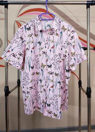 Бавовняна коттонова блуза сорочка батал2 фото