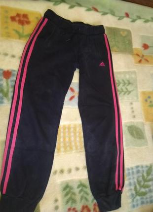 Спортивні штани/adidas.