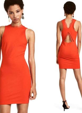 Сукня з мереживним оздобленням h&m уцінка