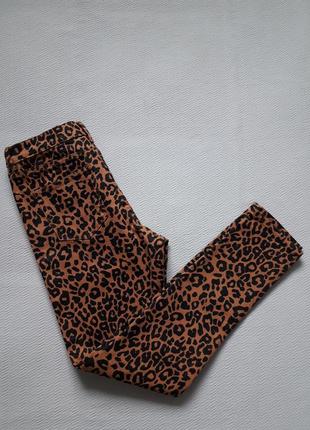 Крутые стрейчевые джинсы скинни в леопардовый принт высокая посадка heidi redherring8 фото