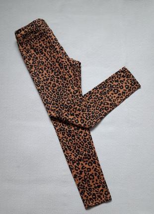 Крутые стрейчевые джинсы скинни в леопардовый принт высокая посадка heidi redherring7 фото