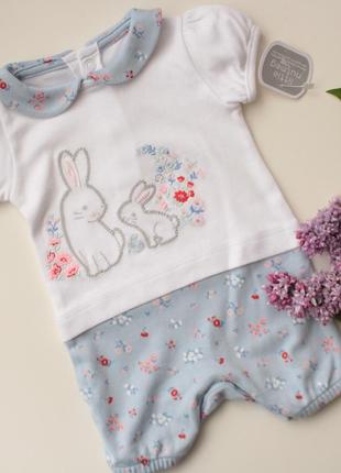 Ніжний пісочник з зайкою на крихітку