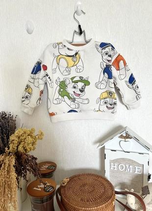 Свитшот zara из новой коллекции